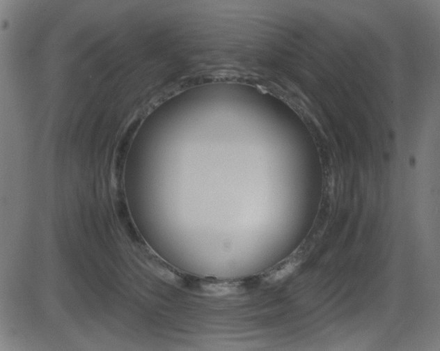 X0000081290516200701110912