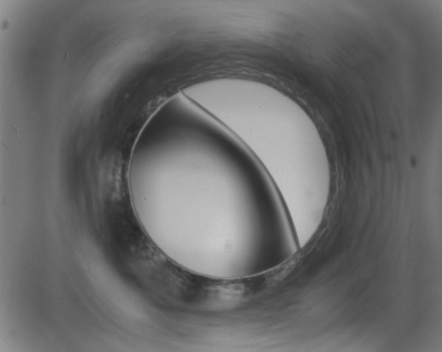 X0000081290525200701110912