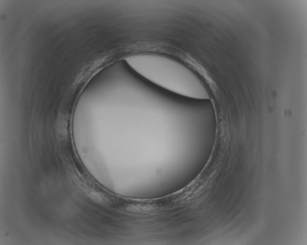 X0000081290537200701110911