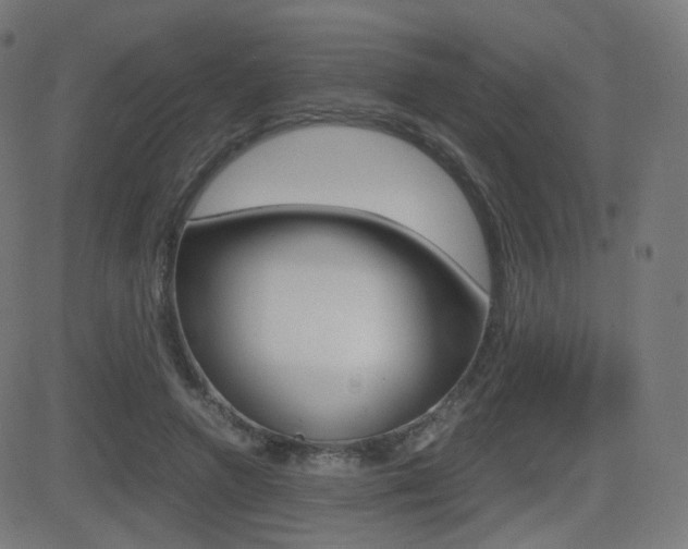 X0000081290546200701110911