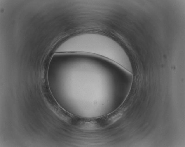 X0000081290548200701110911