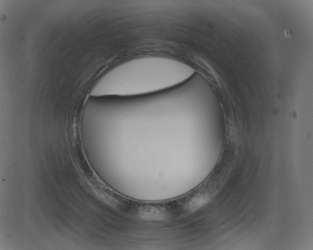 X0000081290549200701110911