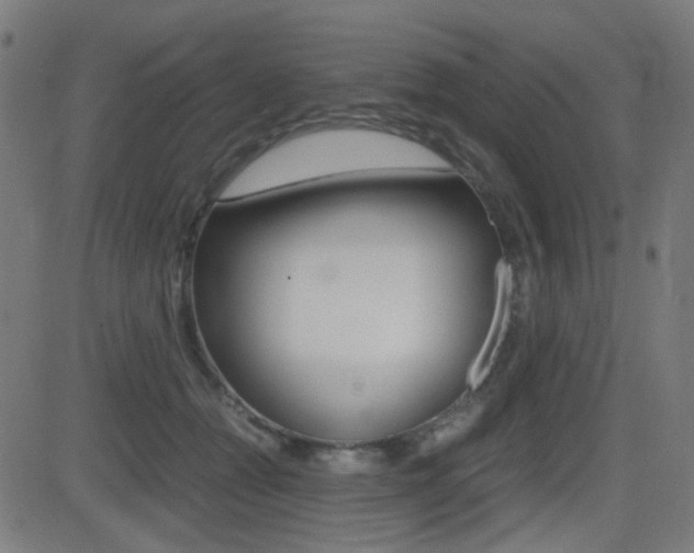 X0000081290558200701110911