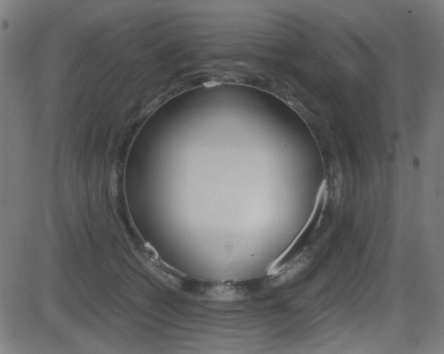 X0000081290562200701110911