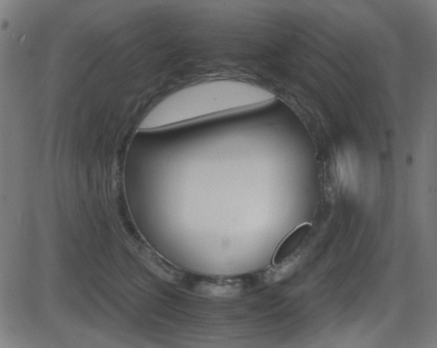 X0000081290563200701110911
