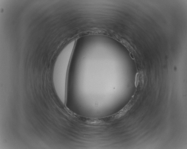 X0000081290564200701110911