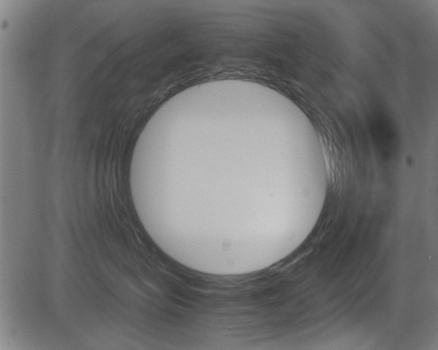 X0000081290575200701110912