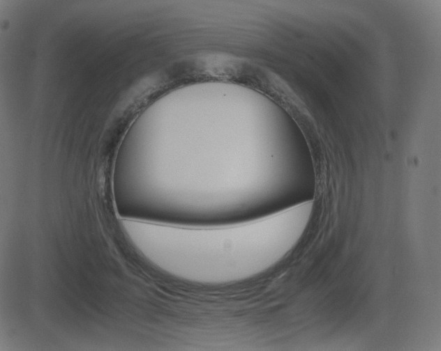 X0000081290595200701110911