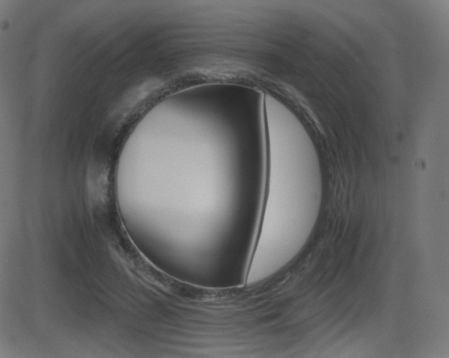 X0000081290596200701110911