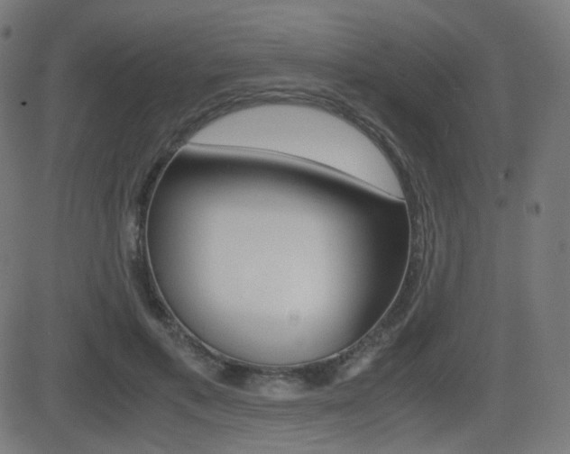 X0000081290597200701110910