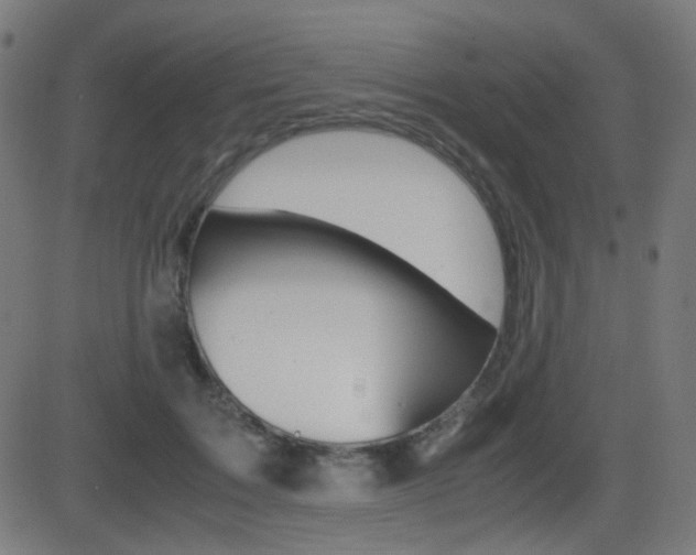 X0000081290603200701110910
