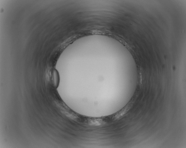 X0000081290618200701110910