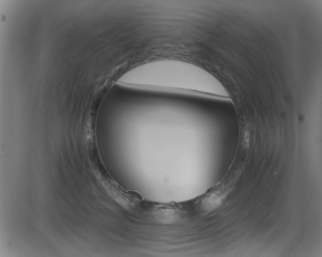 X0000081290620200701110910
