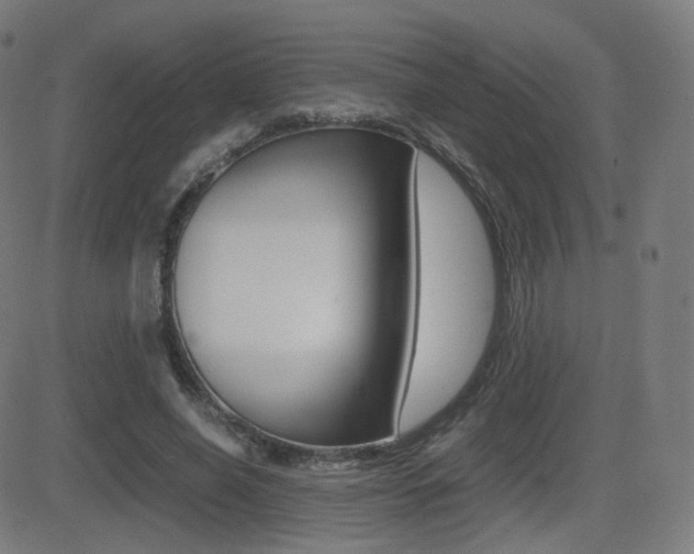X0000081290638200701110909