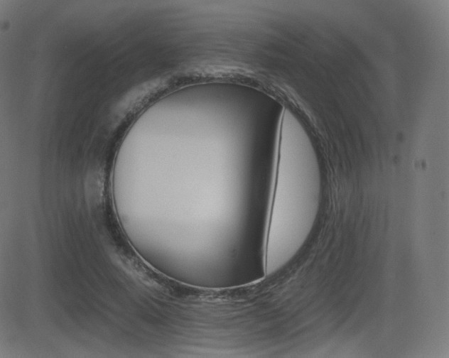 X0000081290640200701110910