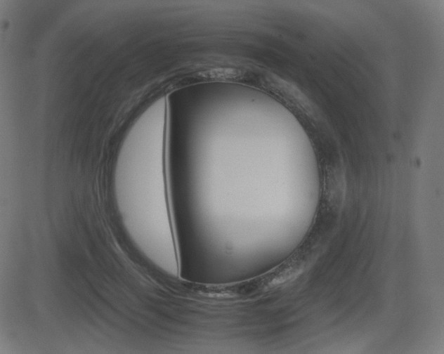 X0000081290645200701110910