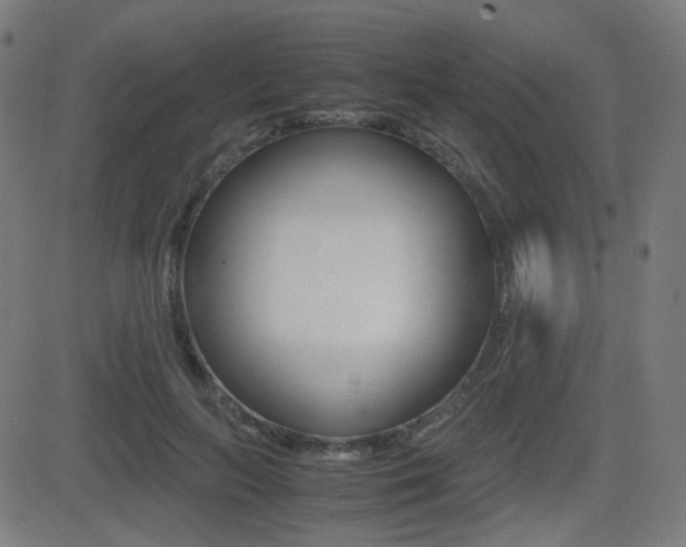 X0000081290647200701110910