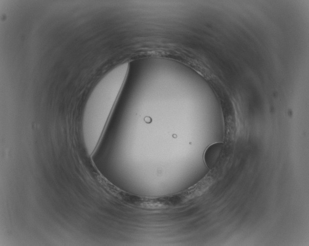 X0000081290650200701110910