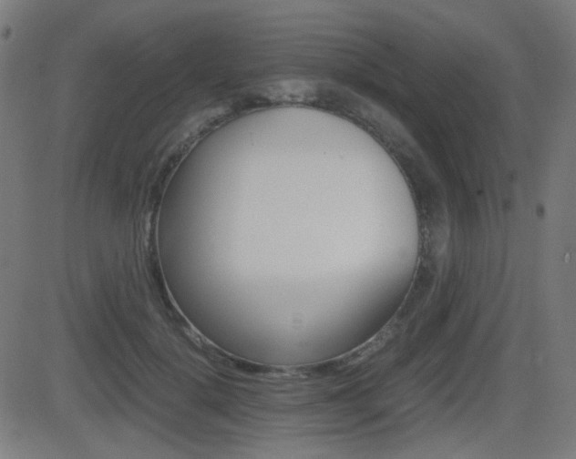 X0000081290652200701110910