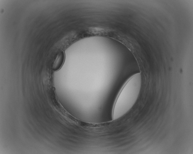 X0000081290653200701110910