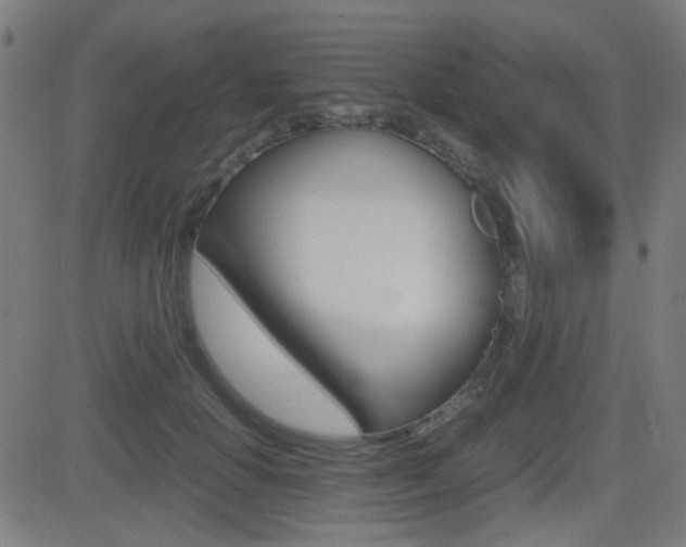 X0000081290654200701110910