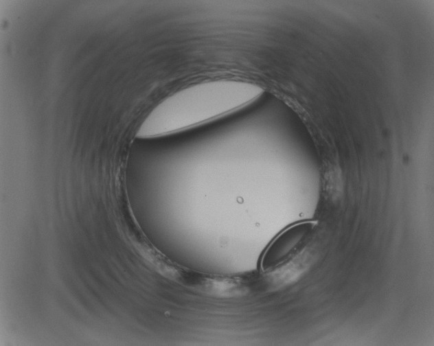 X0000081290662200701110910
