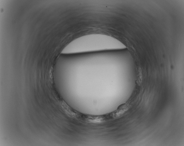 X0000081290667200701110910