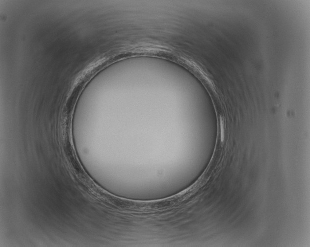 X0000081290675200701110909