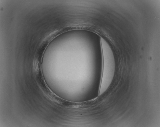 X0000081290692200701110909