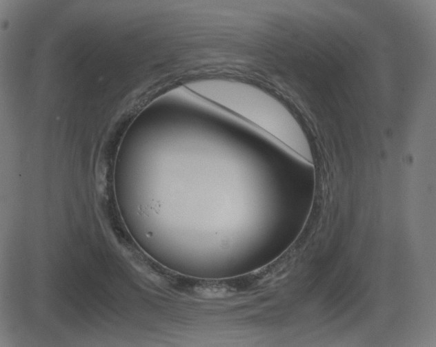 X0000081290693200701110909