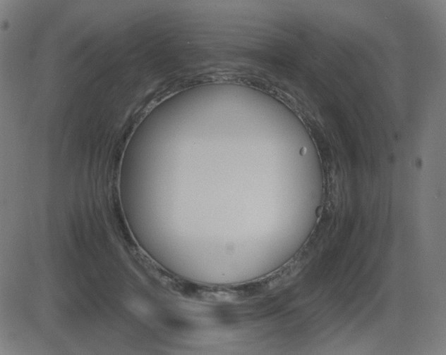 X0000081290698200701110909