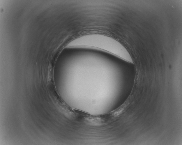 X0000081290712200701110909