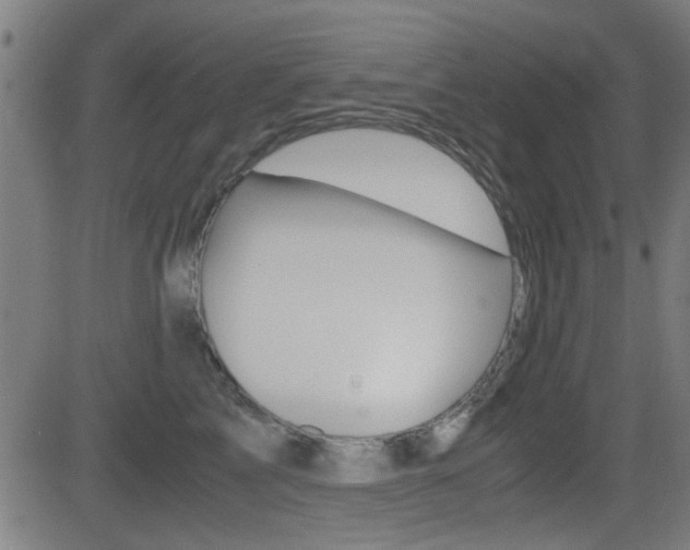 X0000081290713200701110909