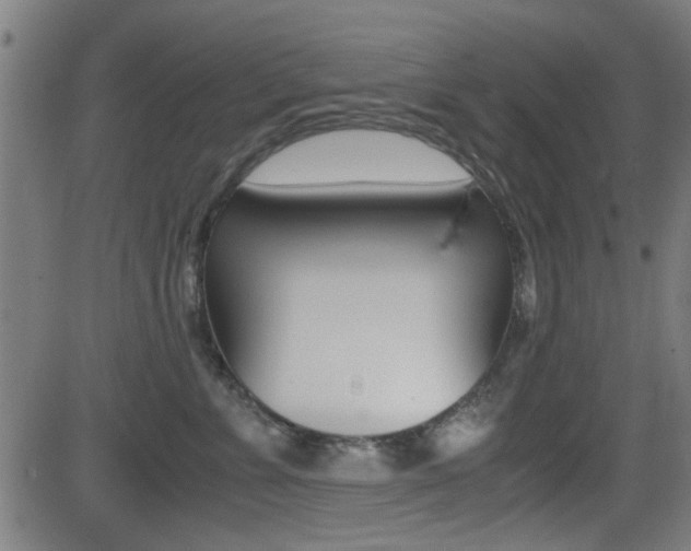 X0000081290715200701110909