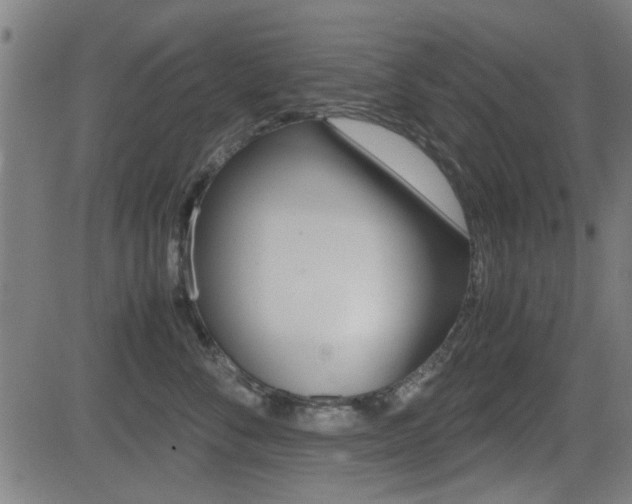 X0000081290716200701110909