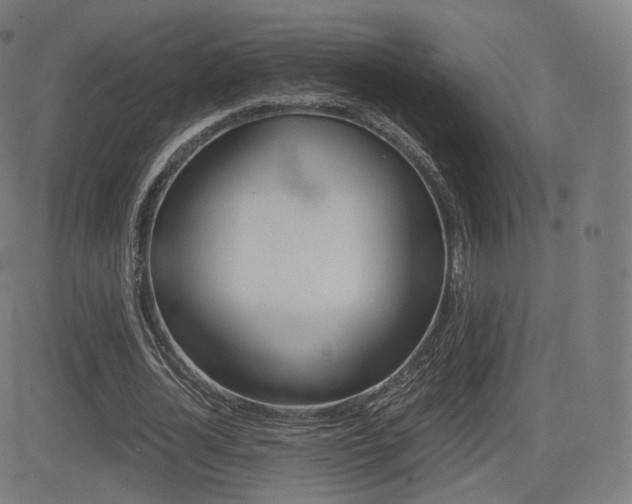 X0000081290724200701110908