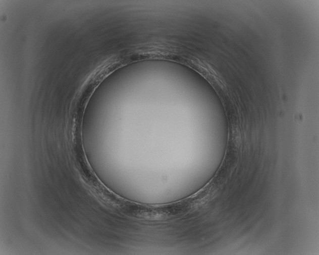 X0000081290735200701110908