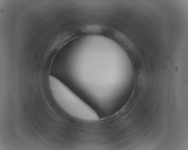 X0000081290739200701110908