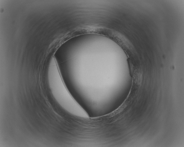 X0000081290740200701110908