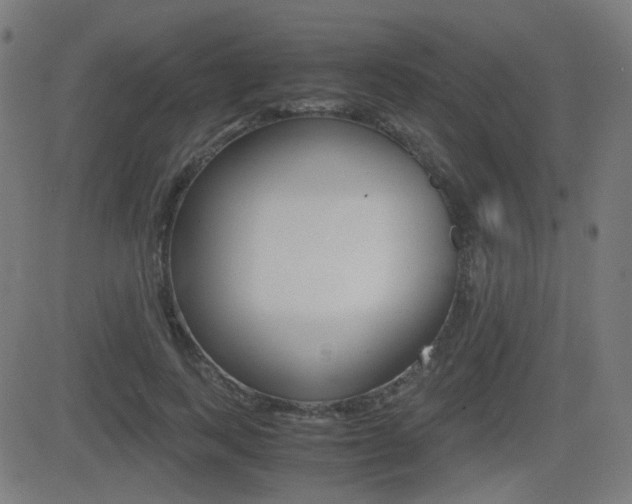 X0000081290743200701110908