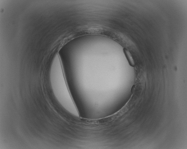 X0000081290744200701110908