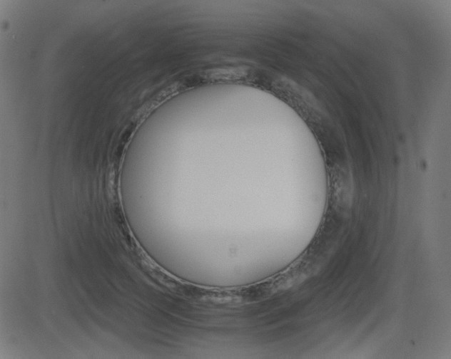 X0000081290745200701110908