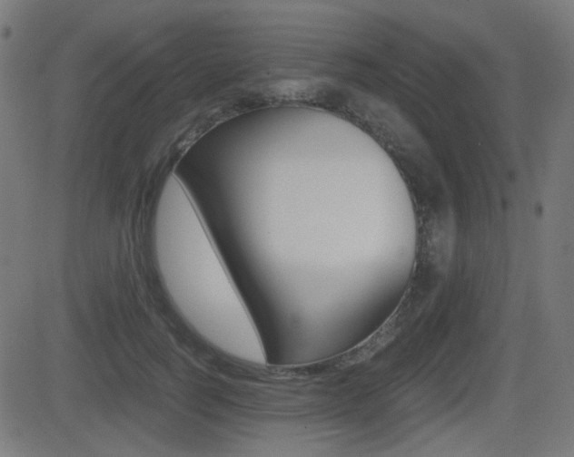 X0000081290746200701110908