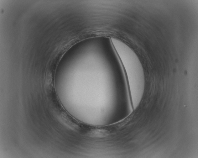X0000081290748200701110908