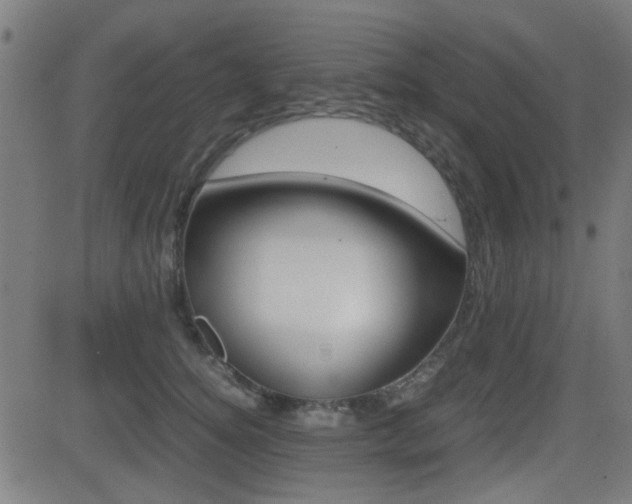 X0000081290756200701110908