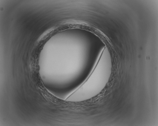 X0000081290775200701110908
