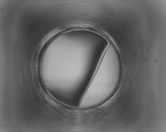 X0000081290779200701110907