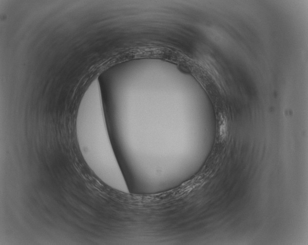 X0000081290819200701110906