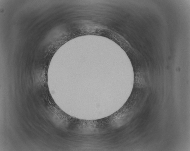 X0000081290820200701110906