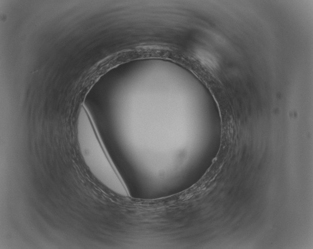 X0000081290821200701110906